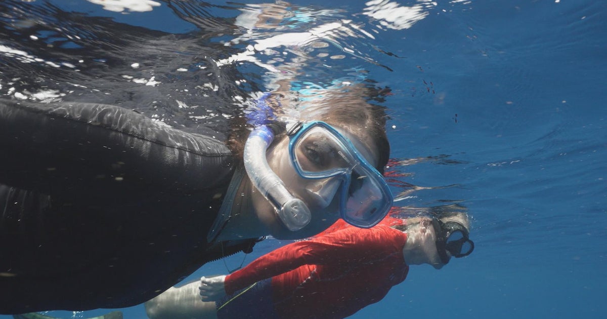 Still from the 60 Minutes segment on the sperm whales of Dominica
