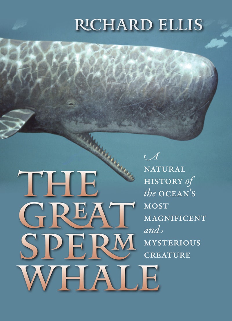 Cover of The Great Sperm Whale by Richard Ellis